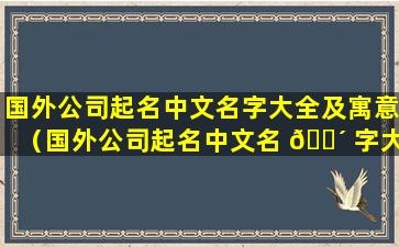 国外公司起名中文名字大全及寓意（国外公司起名中文名 🐴 字大全及寓意四 🦈 个字）